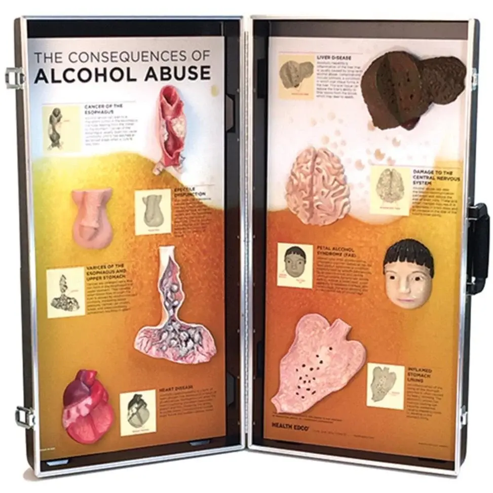 Drug and Alcohol Education