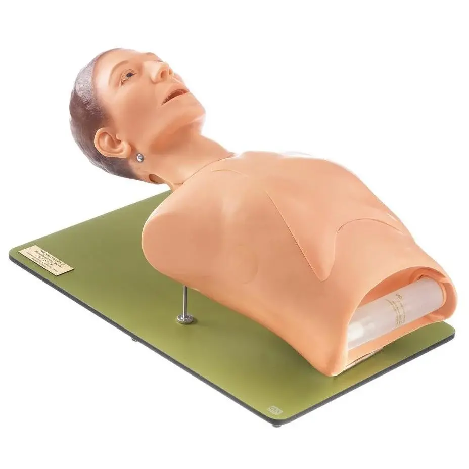 CLA Medical Phantoms