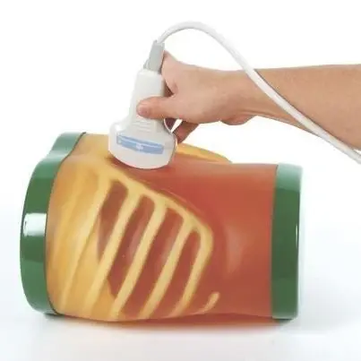 Ultrasound and MRI Phantoms