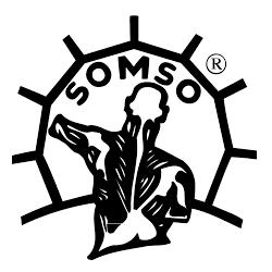 Somso Models