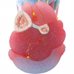 Foot Skeleton, Ligaments and Muscles